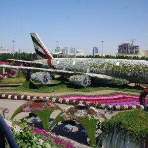 Dubai Miracle Garden flower displays